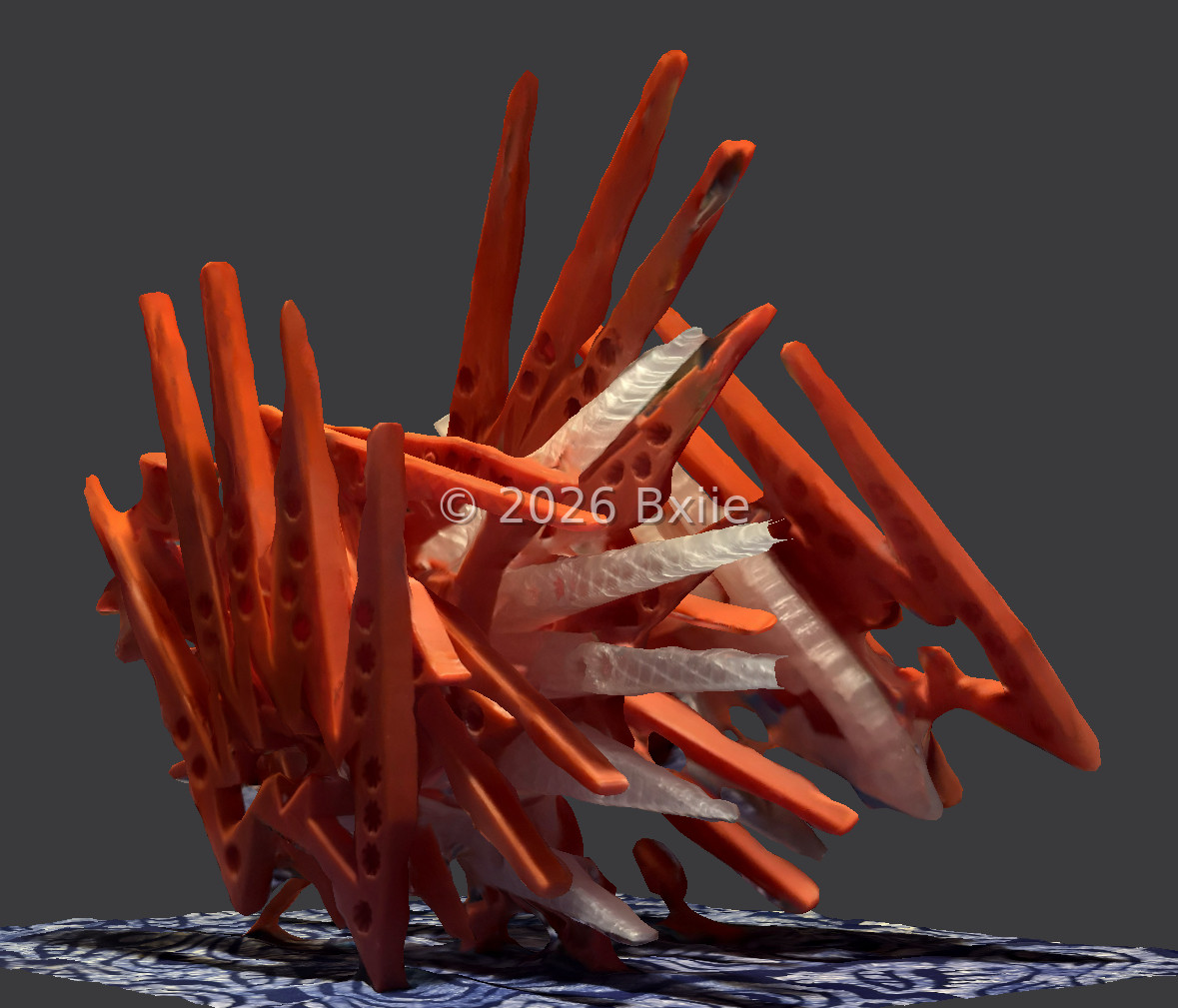 Plastic Study