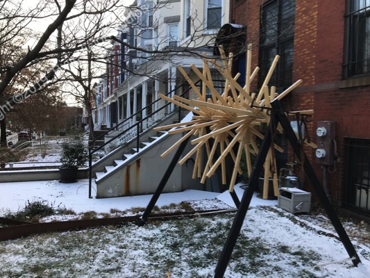 Swarm in Washington, DC