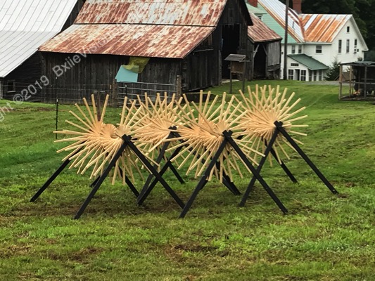 Swarm at King Farm