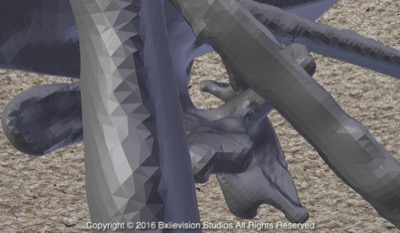 Anniversary 3D Study