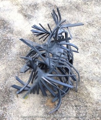 Tendrils